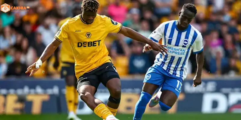 Brighton & Hove Albion vs Wolverhampton Wanderers tranh chấp tại Amex Stadium