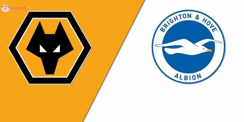 Brighton & Hove Albion vs Wolverhampton Wanderers