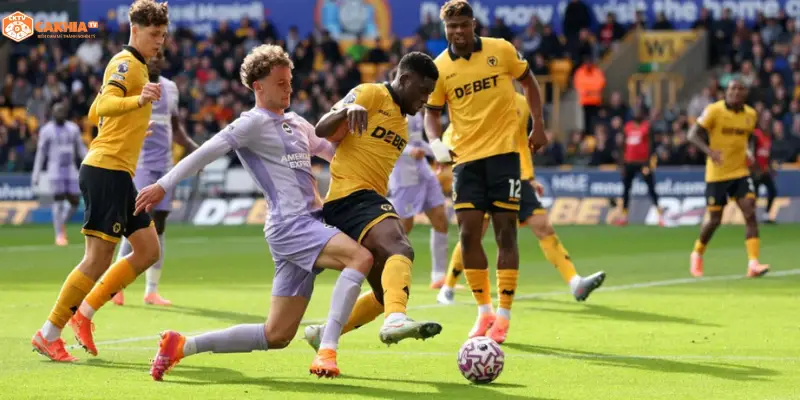 Ngôi sao Brighton & Hove Albion vs Wolverhampton Wanderers trước trận