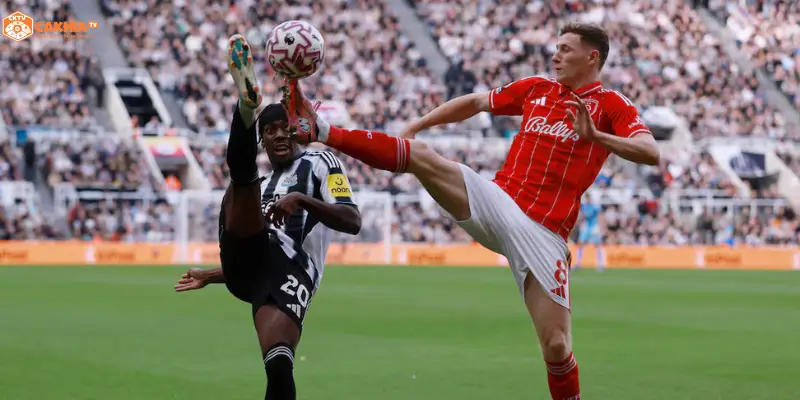 Ngôi sao Nottingham Forest vs Newcastle United trước trận